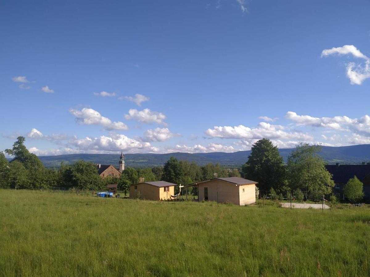 Domek W Gorach Izerskich 4 I 6 Osobowy, Agroturystyka, Zywe Zwierzeta, W Pelni Wyposazone, Plac Zabaw Dla Dzieci, Ognisko Z Kijkami I Rusztem, Ogrzewanie I Klimatyzacja, Latem Basen Mirsk 外观 照片